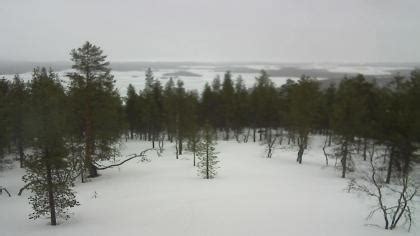 inari webcam